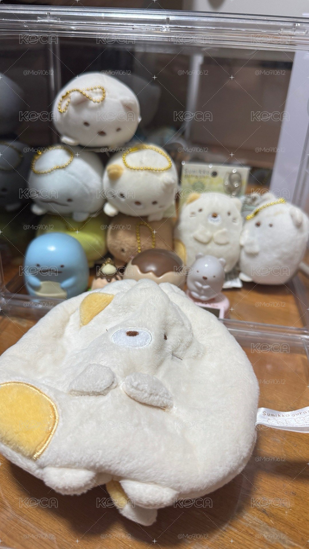 角落生物 盤出