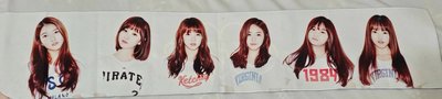GFRIEND/VIVIZ手幅