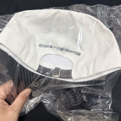 全新未拆*高雄場球帽（24小時快速出貨）
