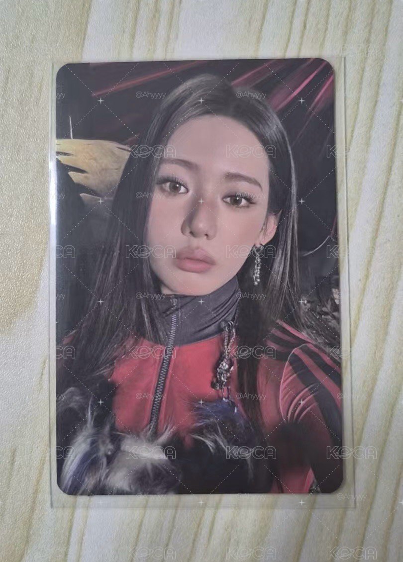美網bn茶