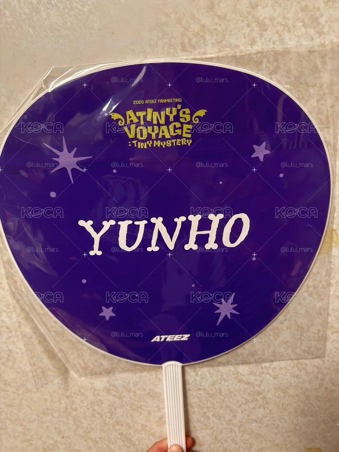 潤浩 26年 日本飯咪 大王扇