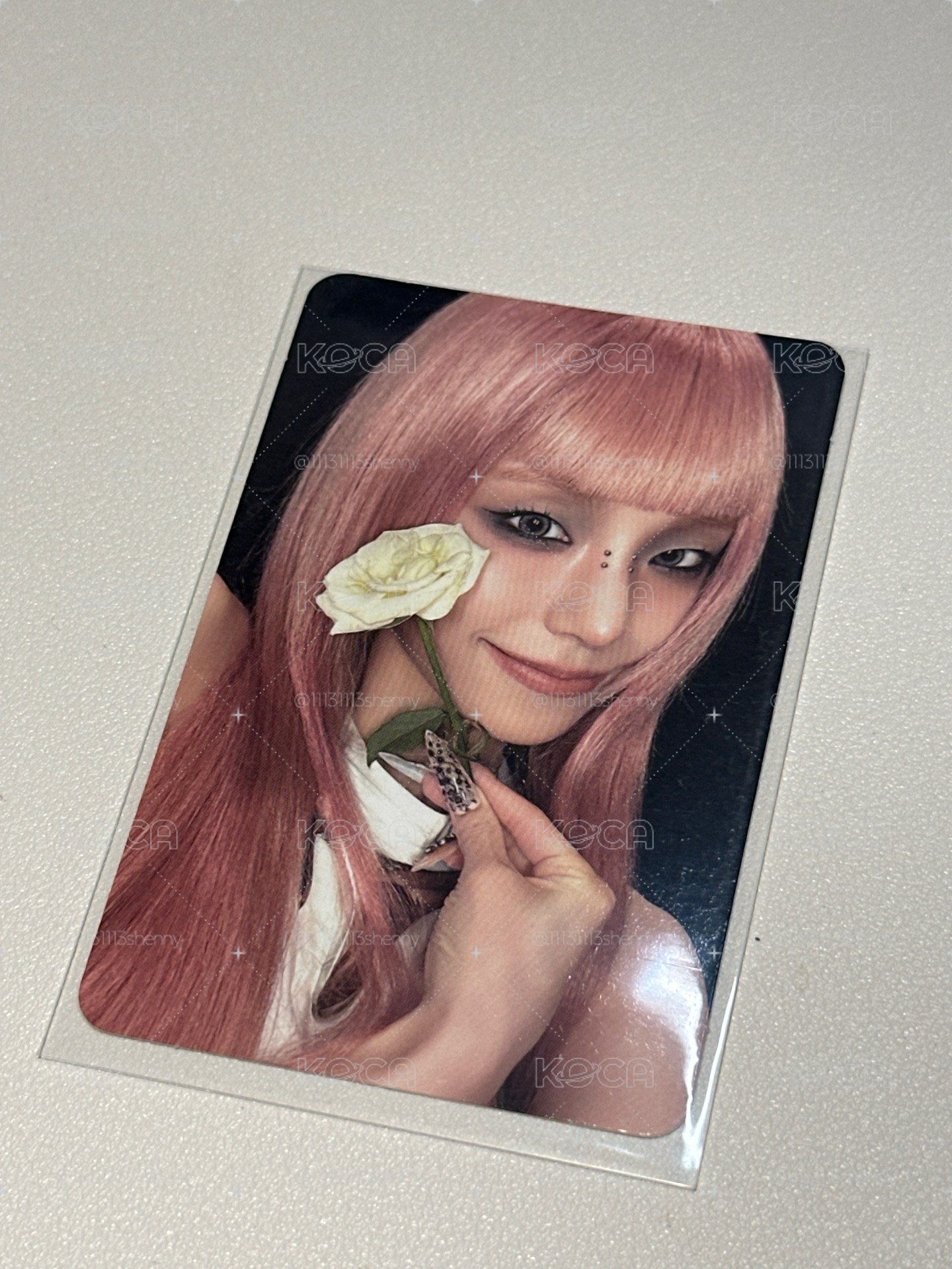 志專卡玫瑰花