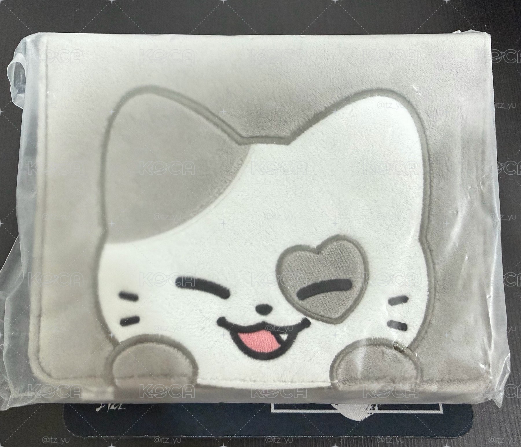 ITZY黃禮志KKengEE絨毛卡冊
