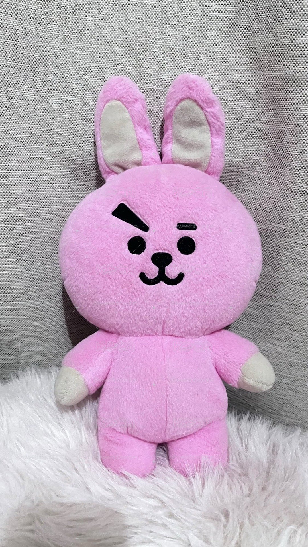 BT21 COOKY 初代 中娃