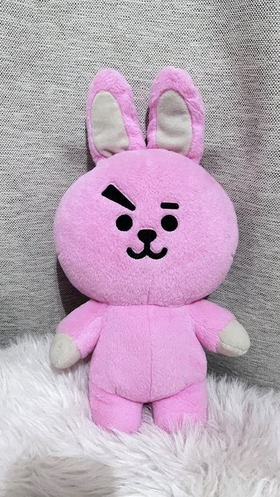 BT21 COOKY 初代 中娃