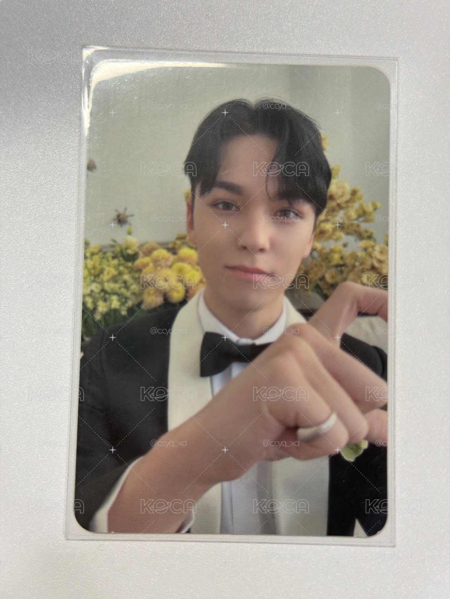 vernon 專卡