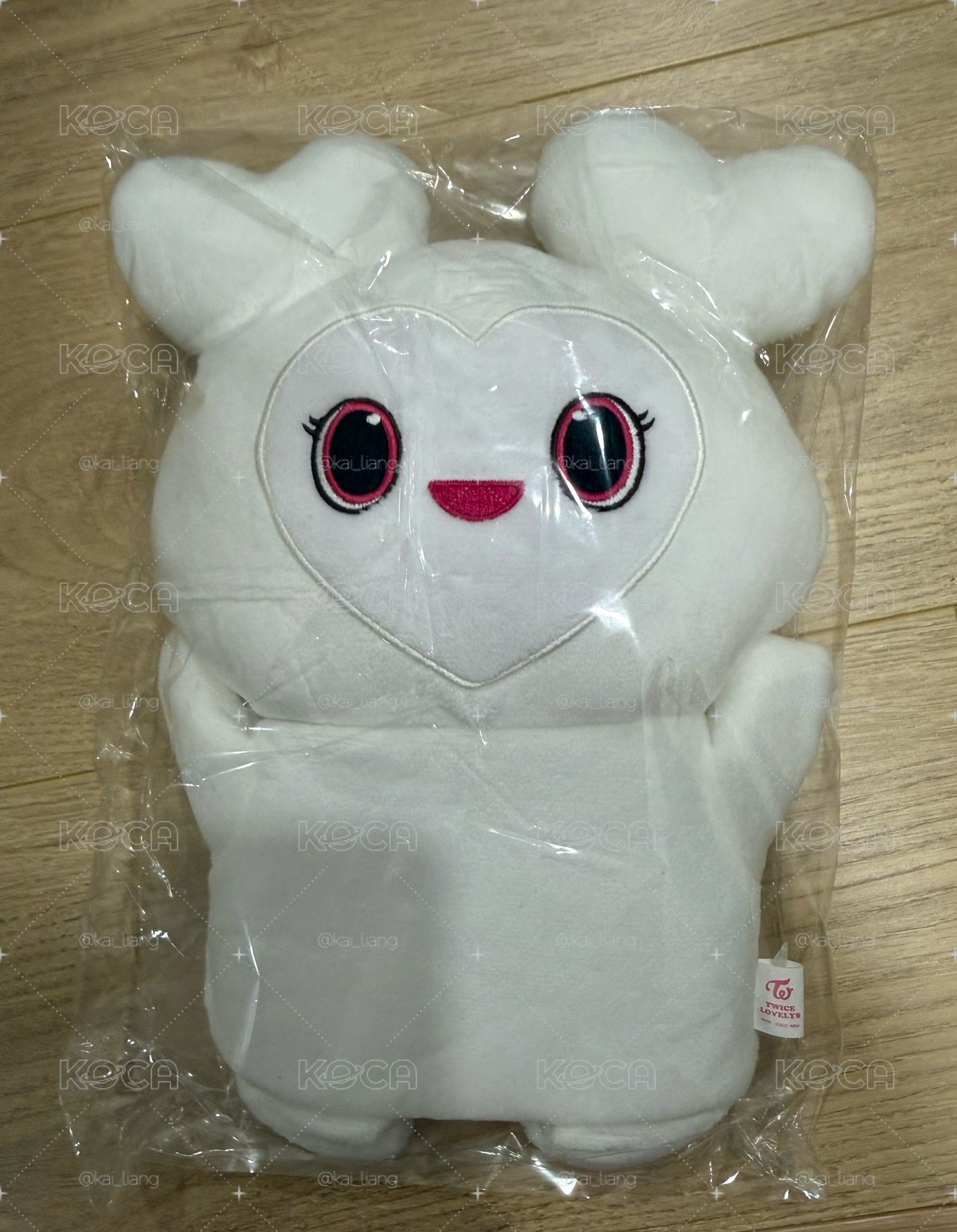 Twice Gigo 娃娃玩偶 手偶娃 多賢