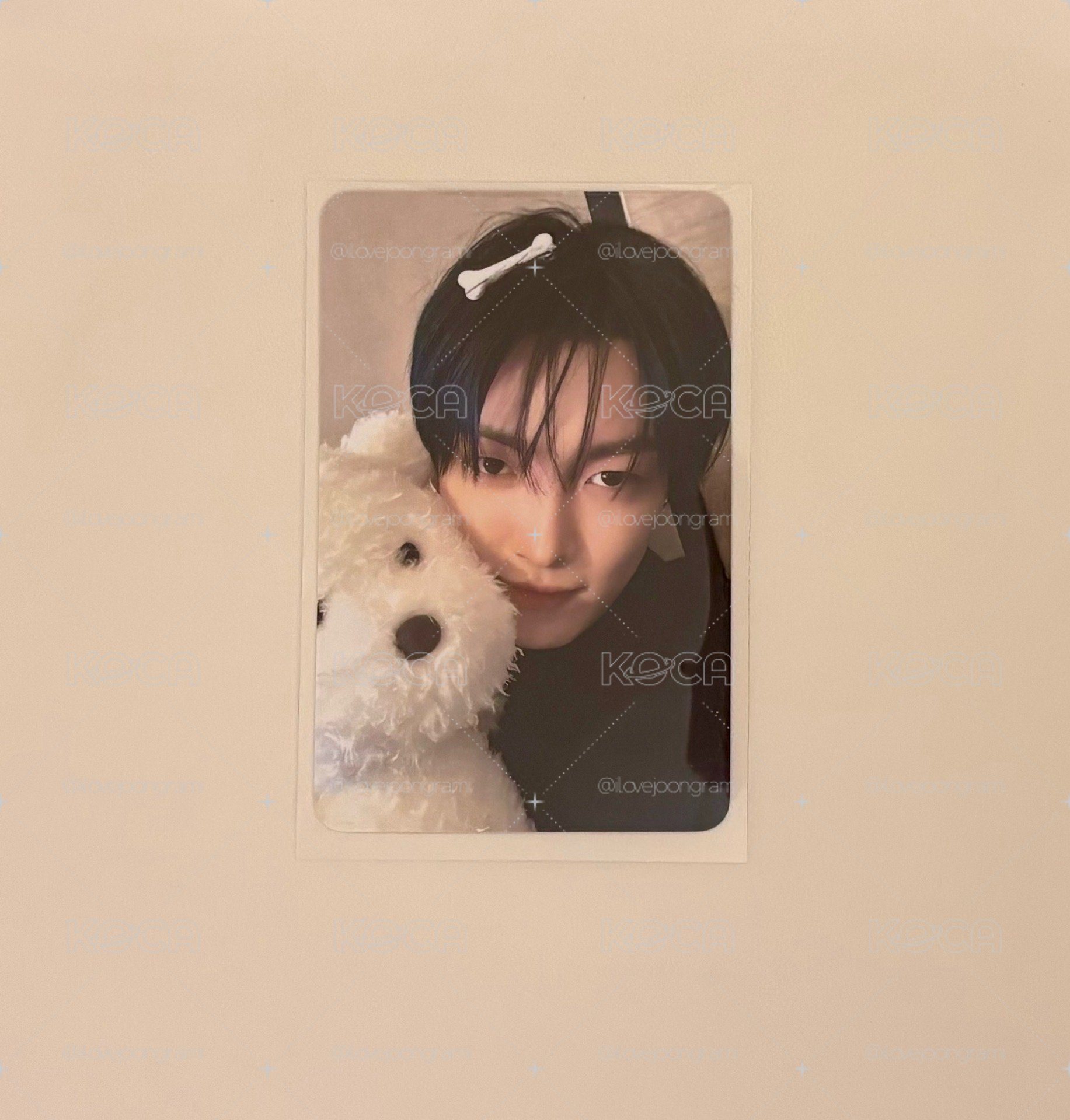 ATEEZ 弘中 HL PUPPY Ver