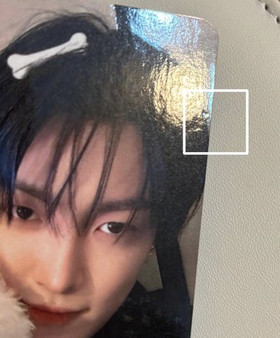 ATEEZ 弘中 HL PUPPY Ver