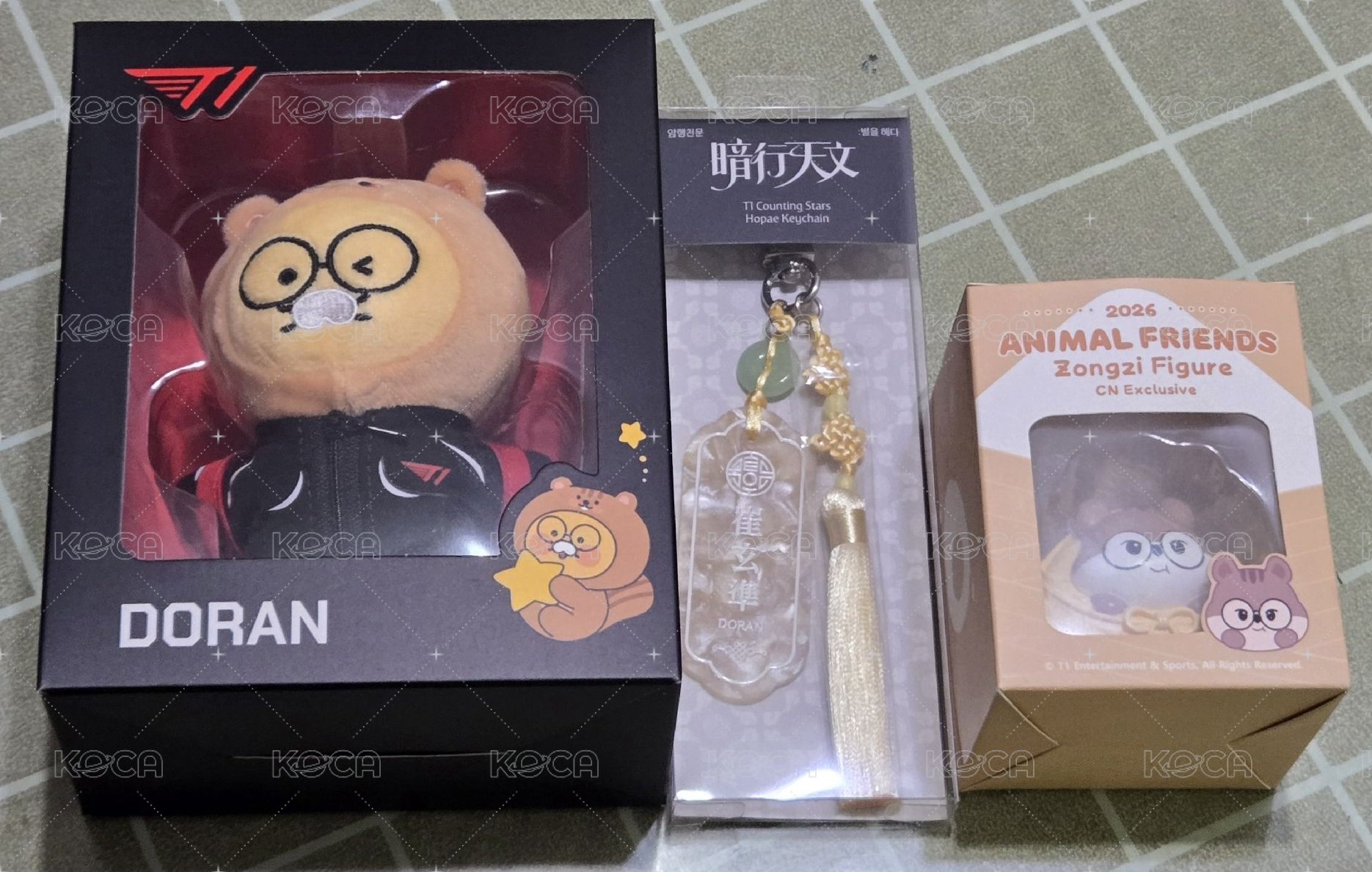 Doran 2026春植小盤