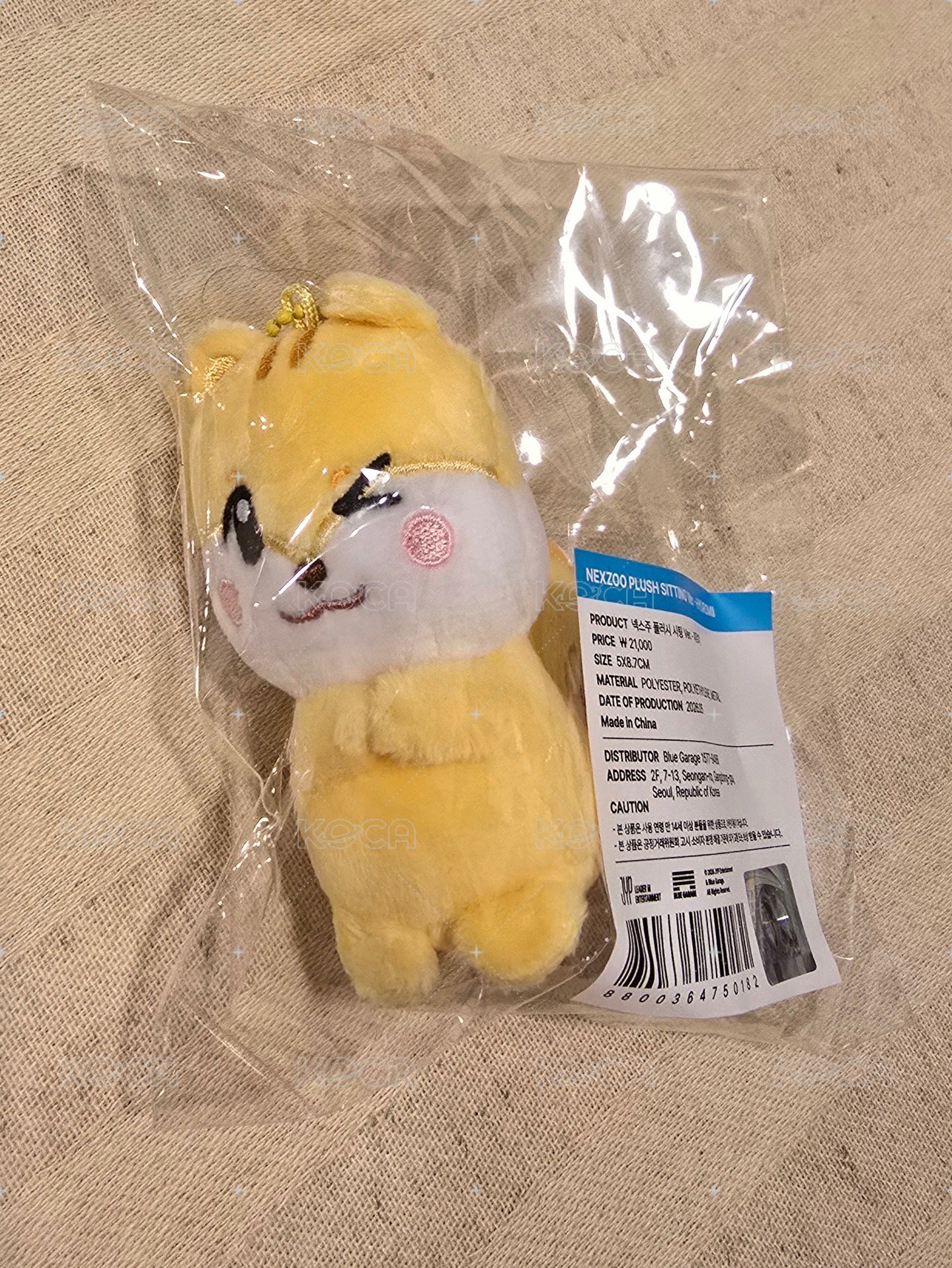 🐿️坐娃