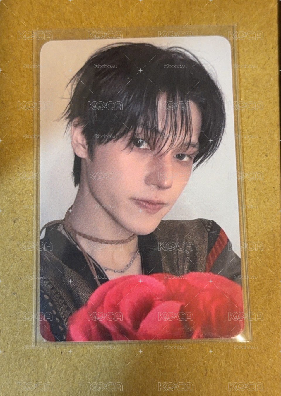 你是我的花朵🌹