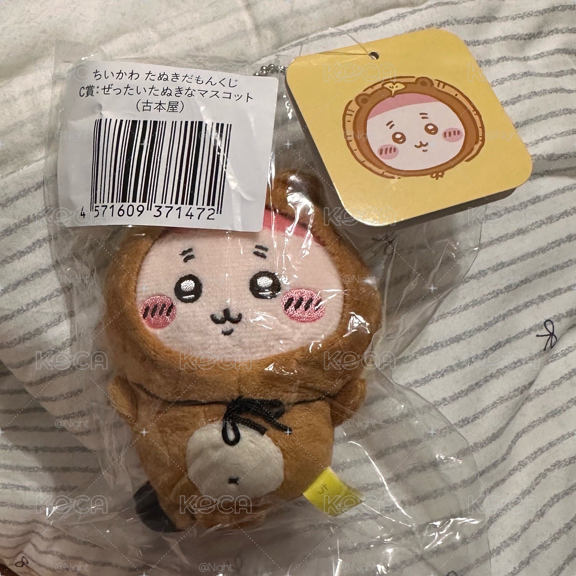狸貓古本