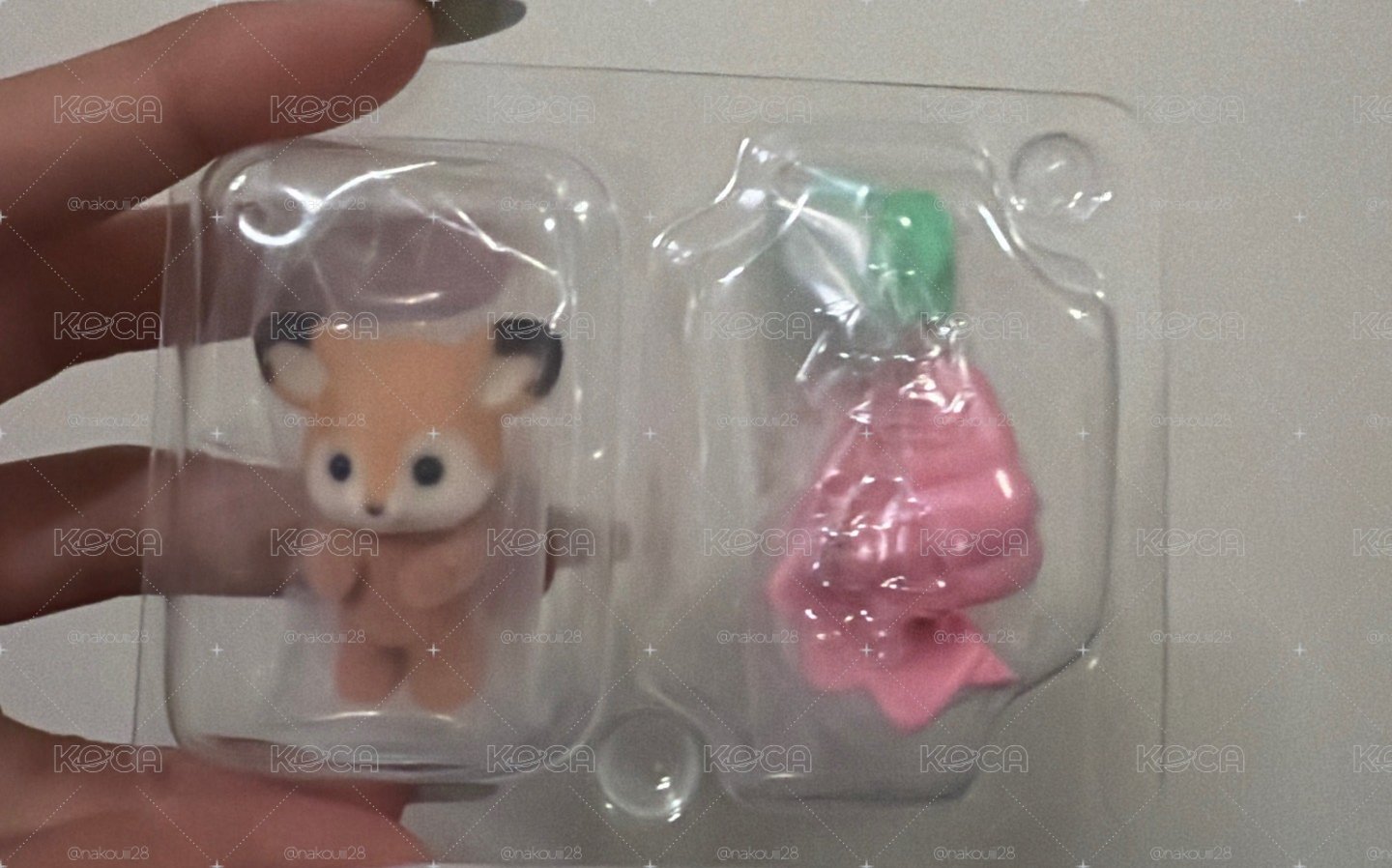 梅花鹿
