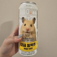 wwww