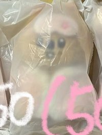 城睡衣娃450（50）