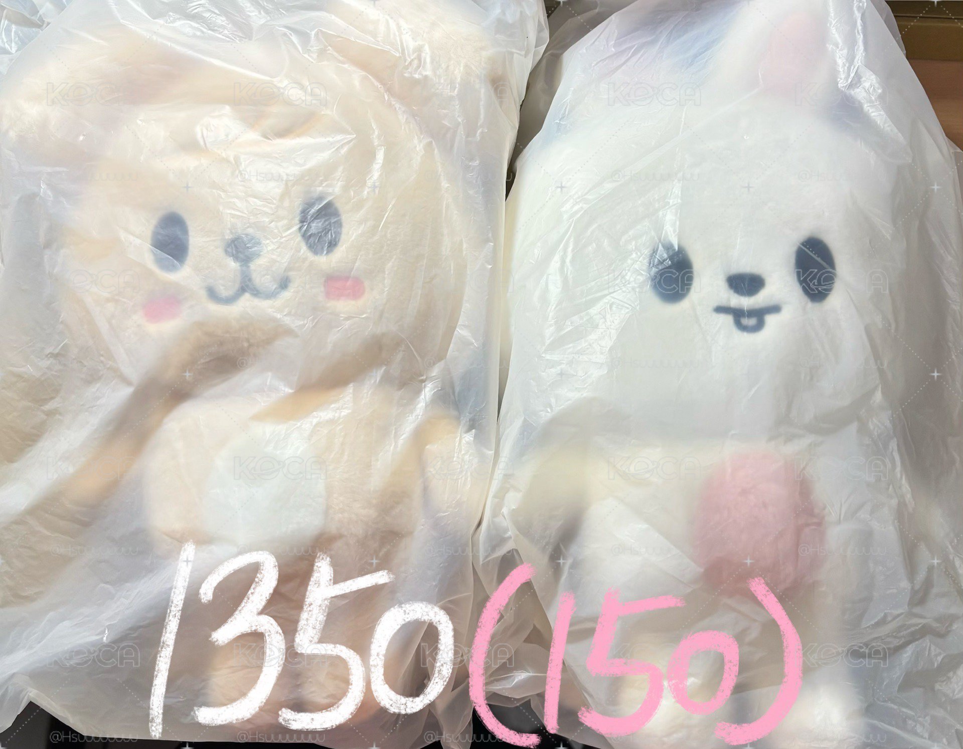 6期後背包（全新未拆）
