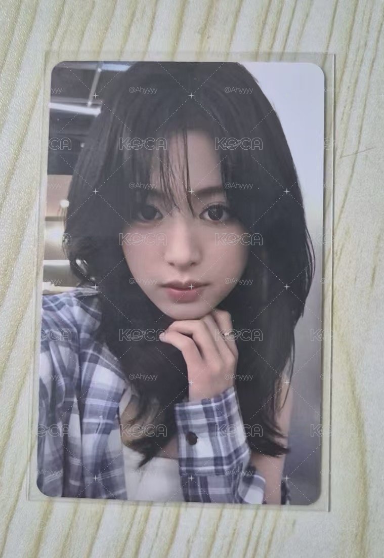 格子滿額賢 日文卡背