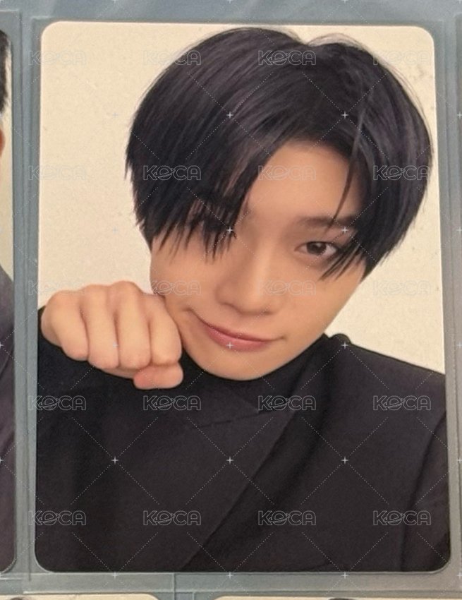 泰來貓貓拳