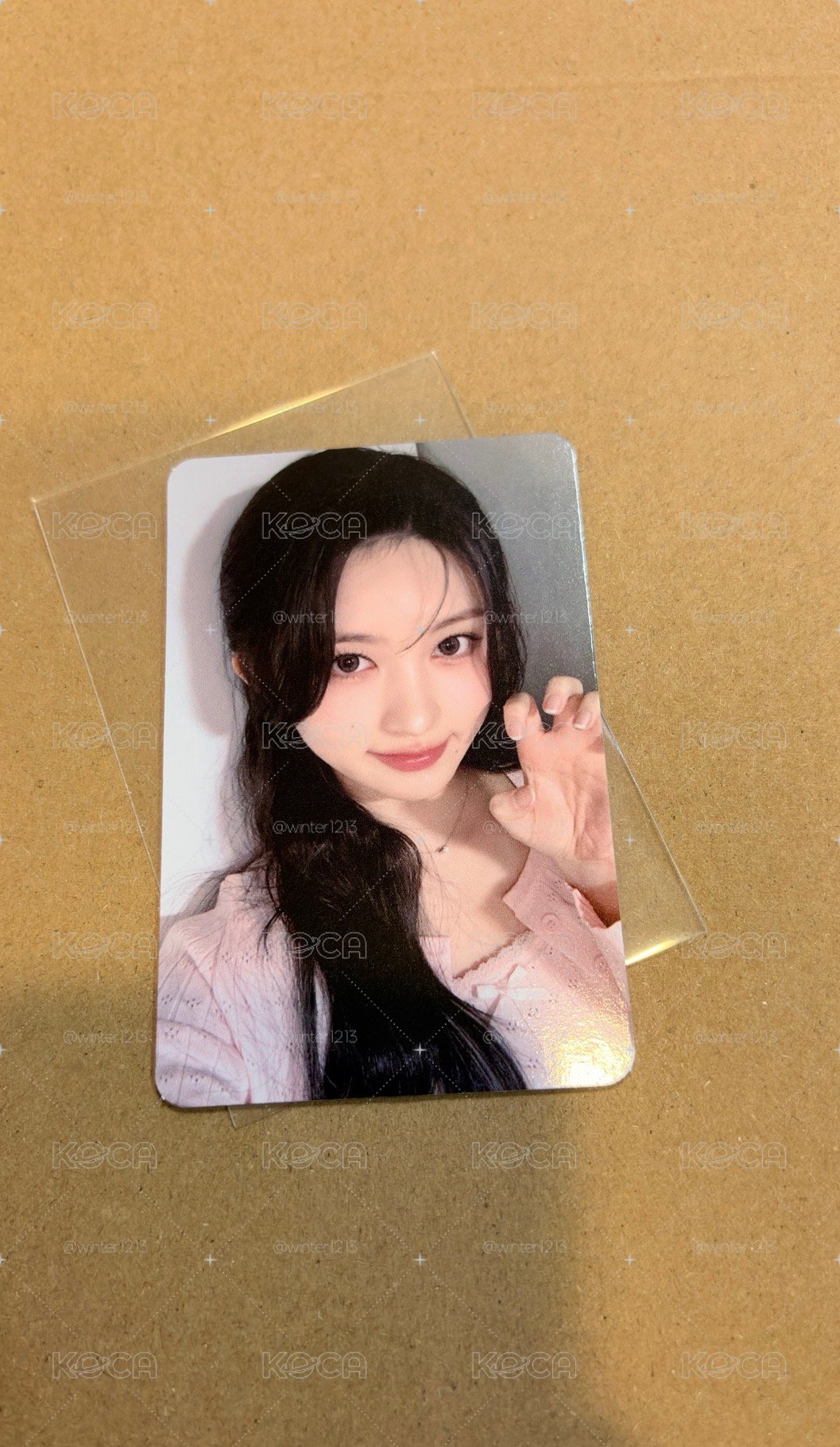 貓爪秋