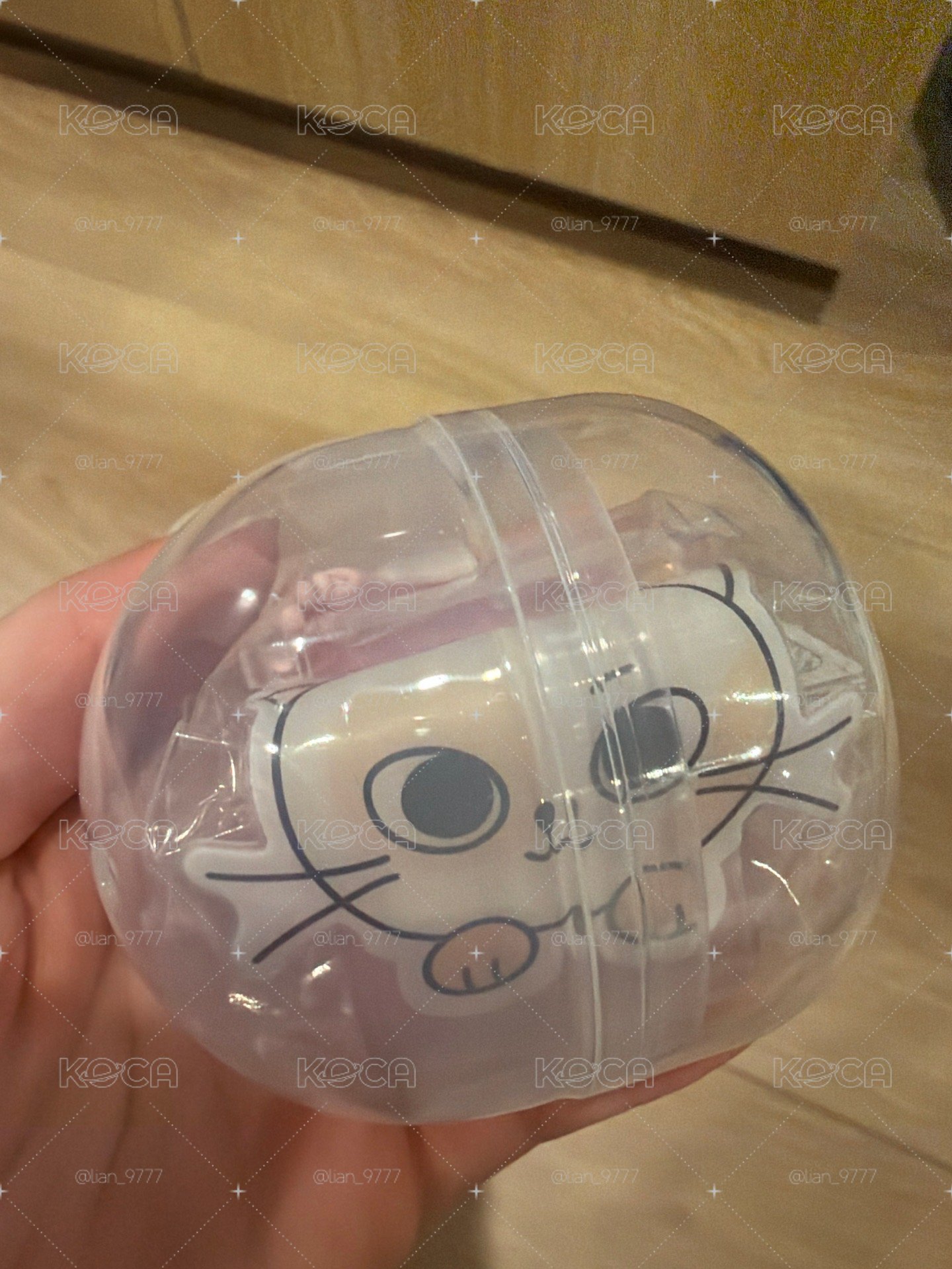 日巡扭蛋🐈