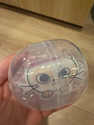 日巡扭蛋🐈