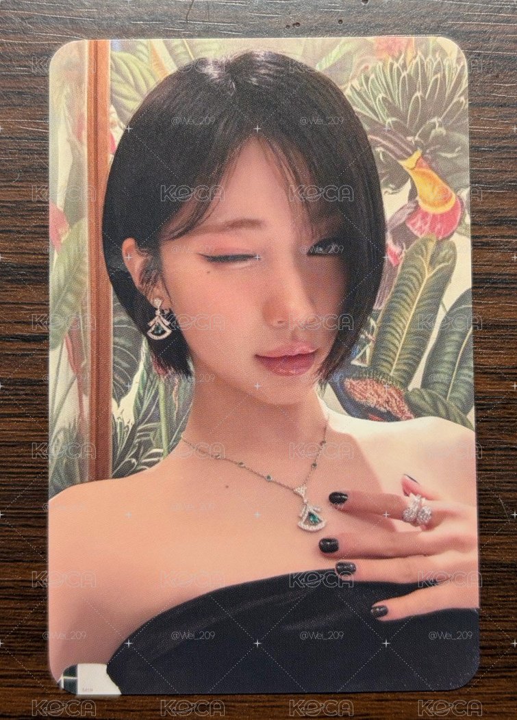 禮服紗特典