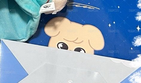 小狗