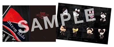 樂天特典一整套+DVDset