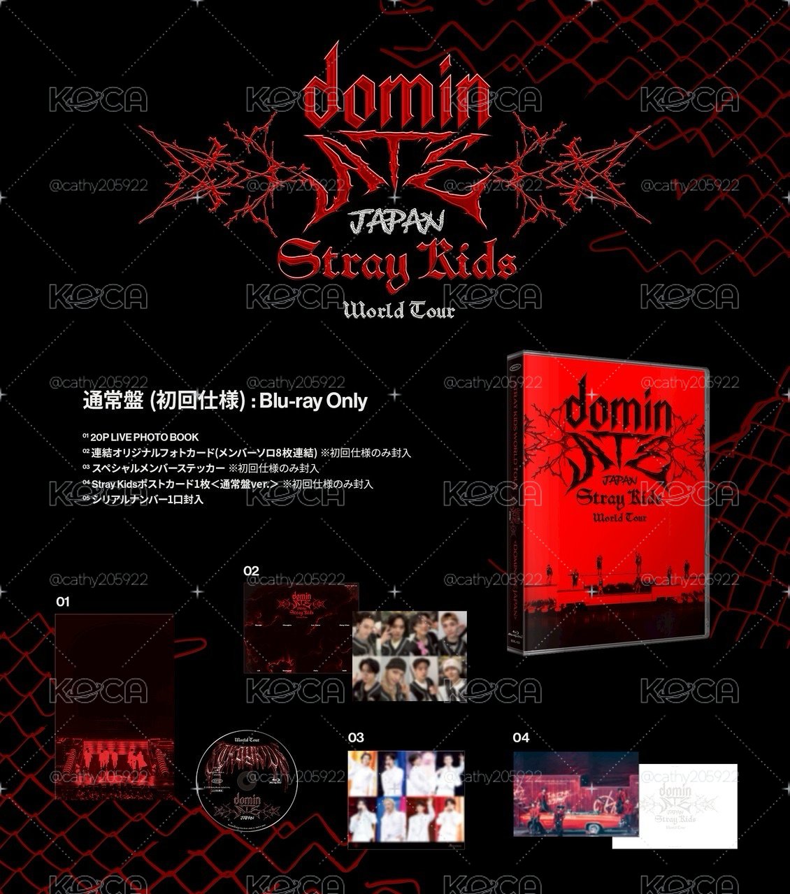 樂天特典一整套+DVDset
