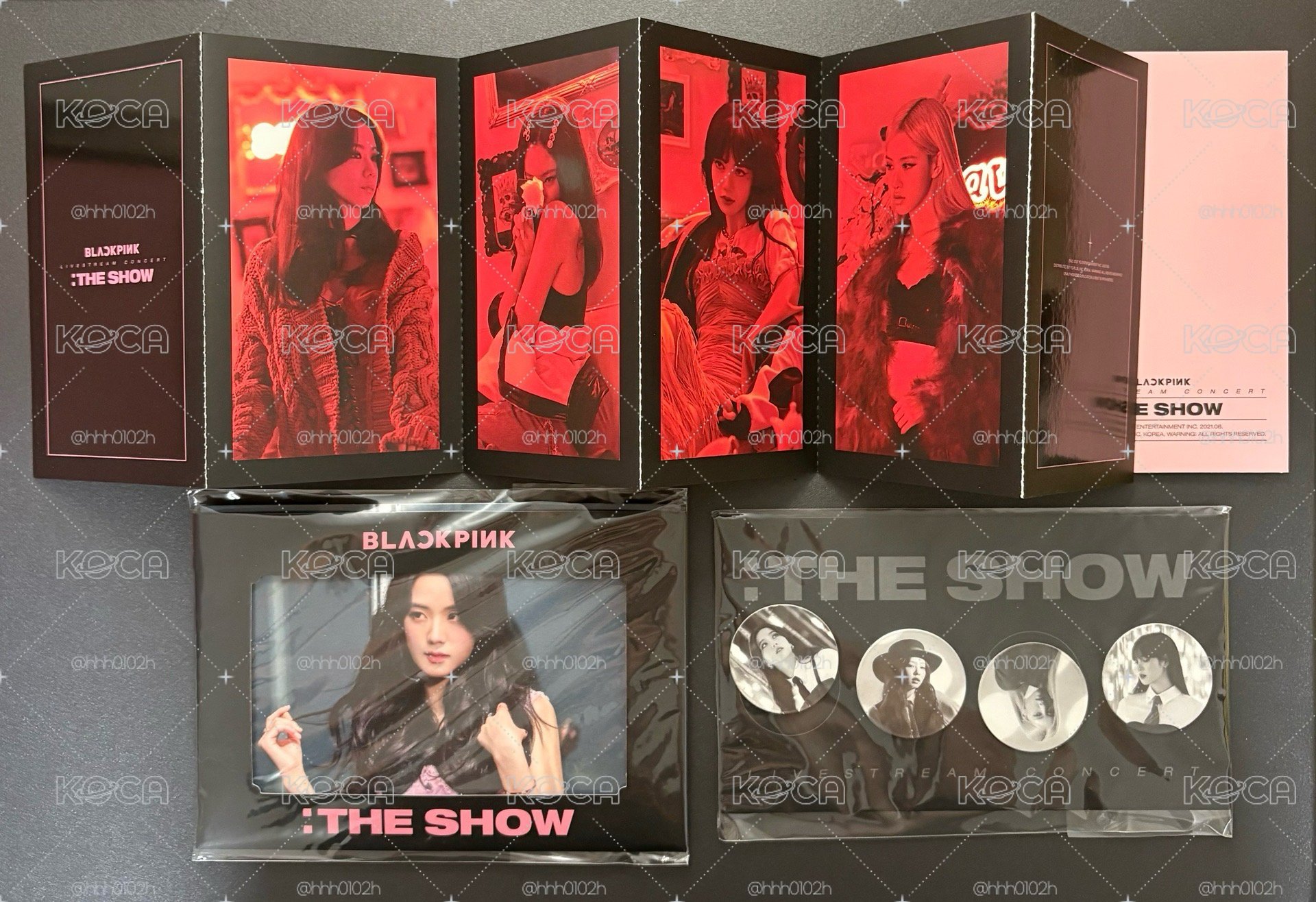 THE SHOW DVD