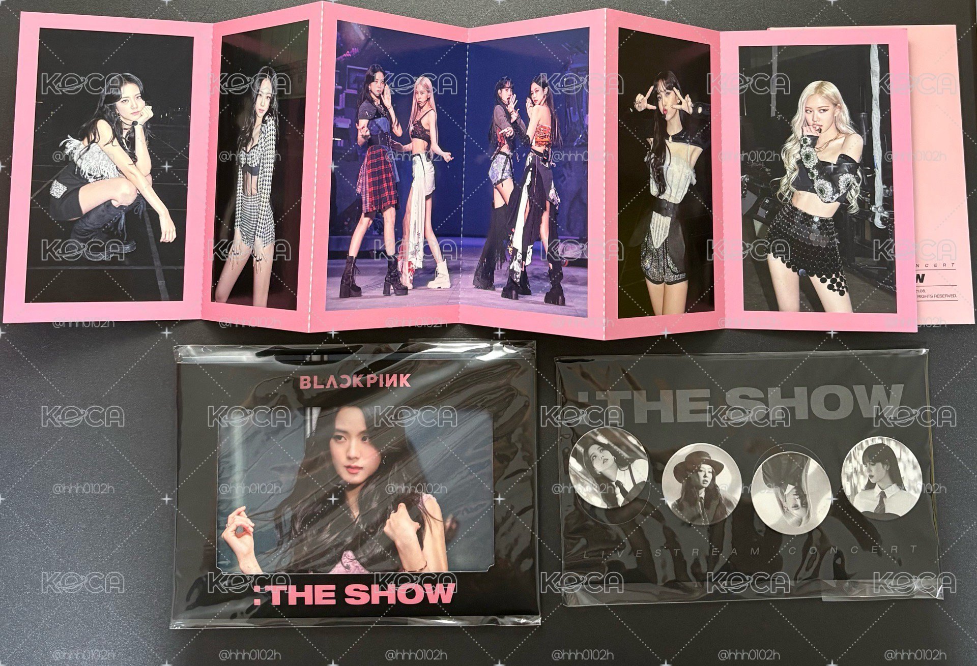 THE SHOW DVD