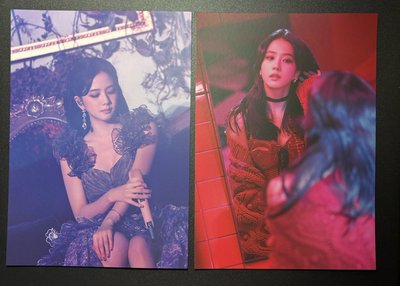 THE SHOW DVD