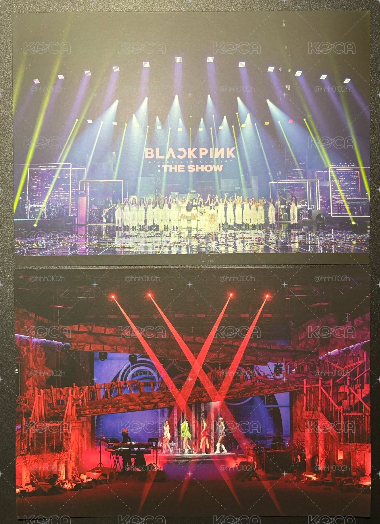 THE SHOW DVD