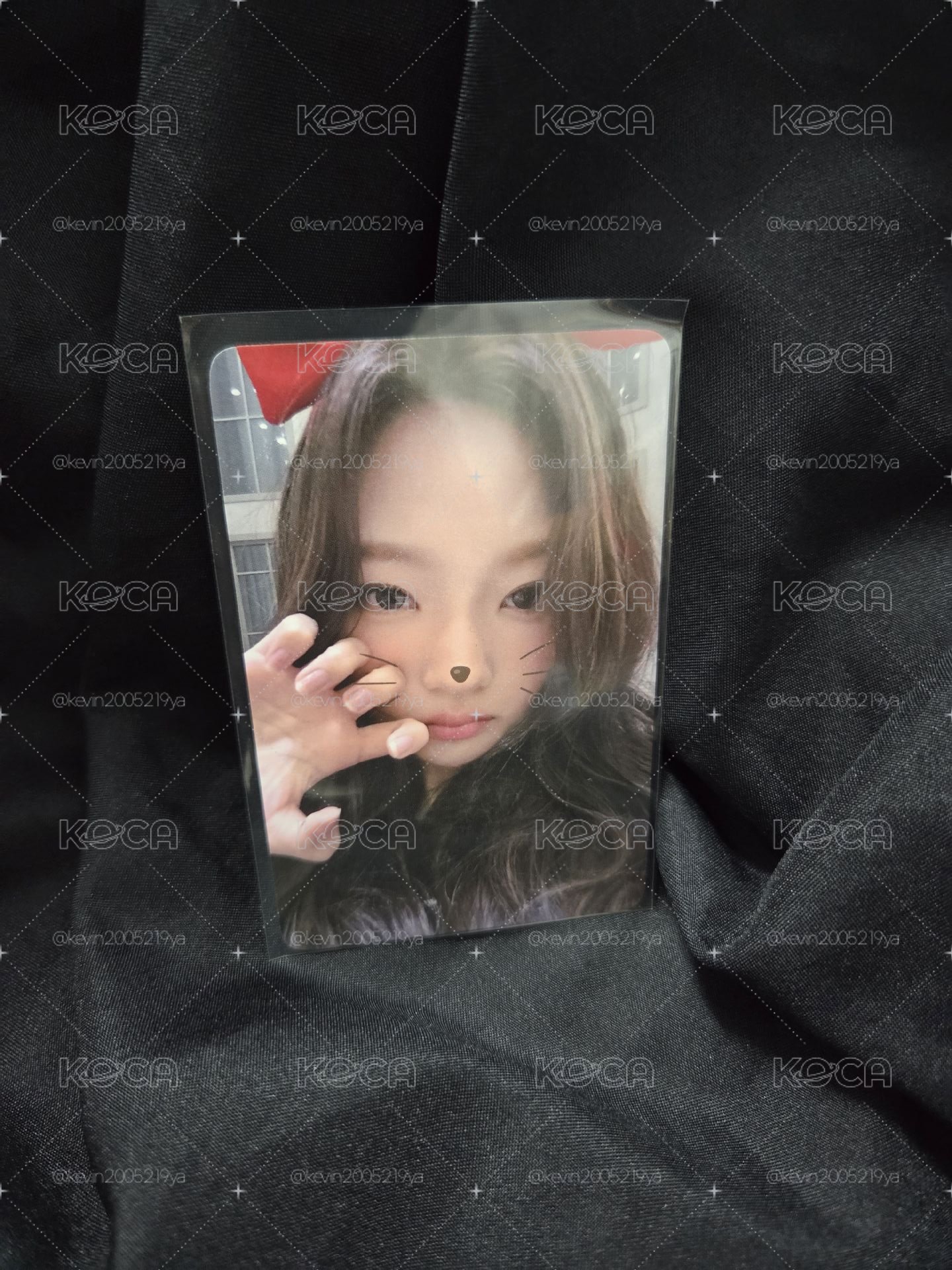 h2h 貓咪stella