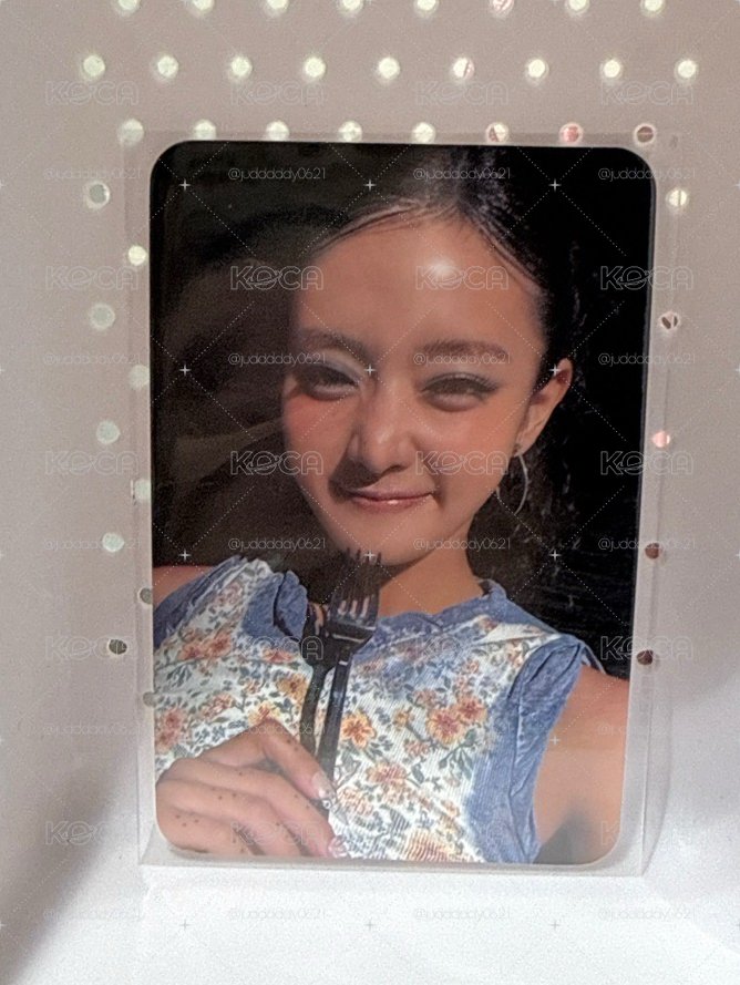 叉子皺鼻妮