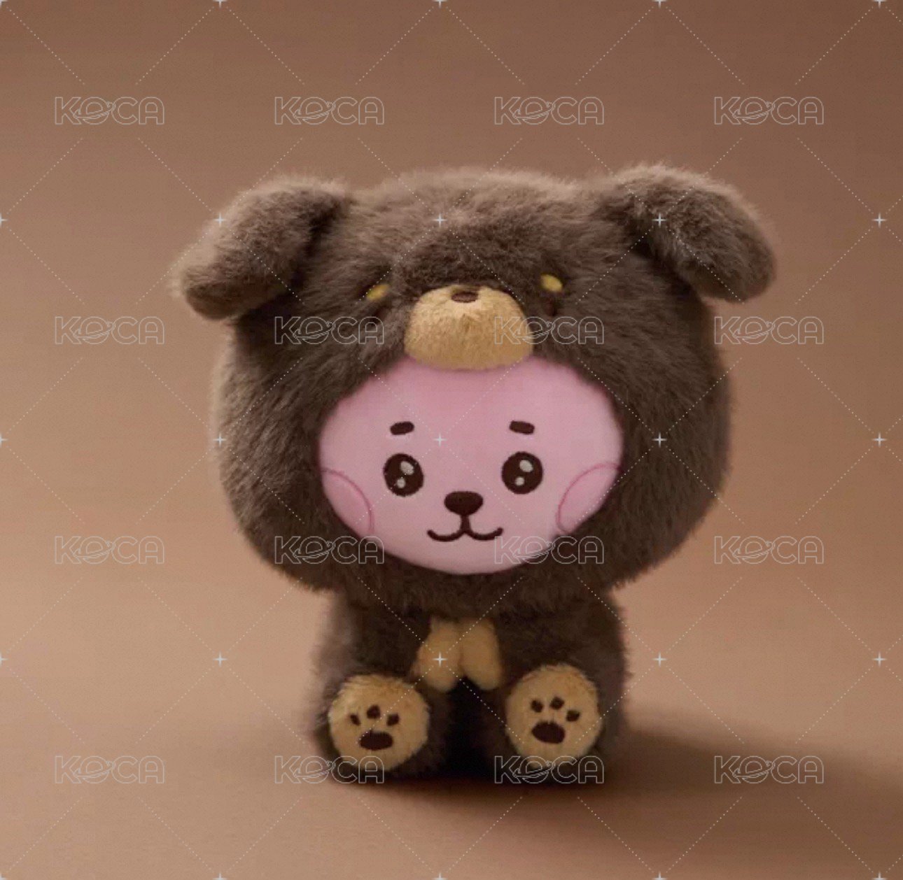 cooky