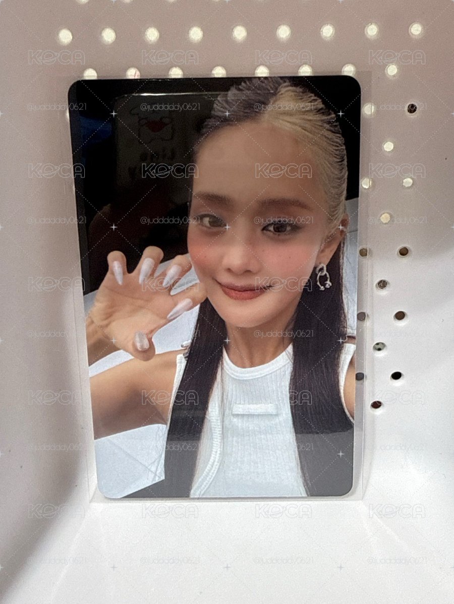 MD貓爪妮