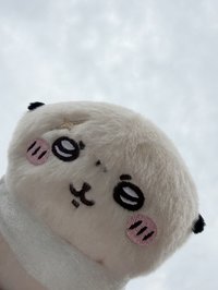 윤