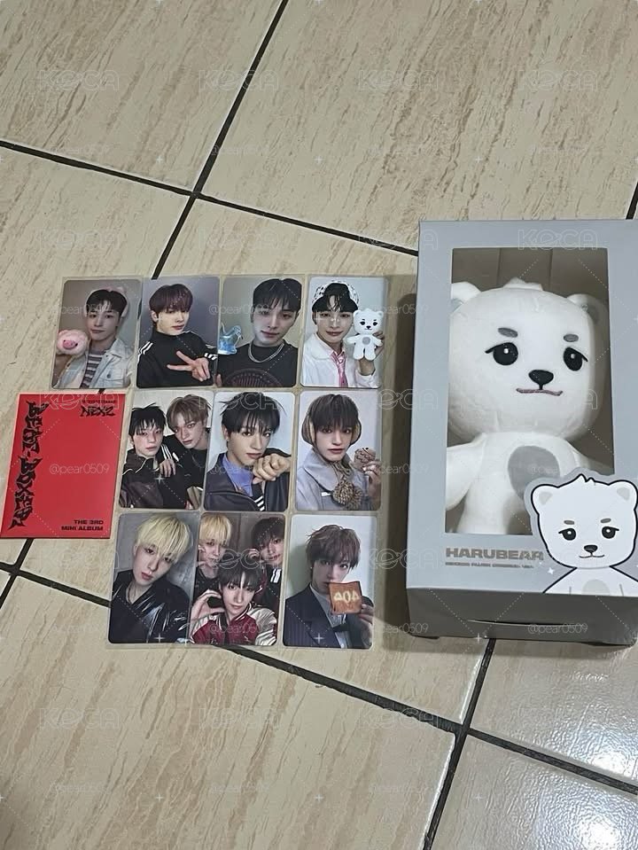 🐻‍❄️大娃盤