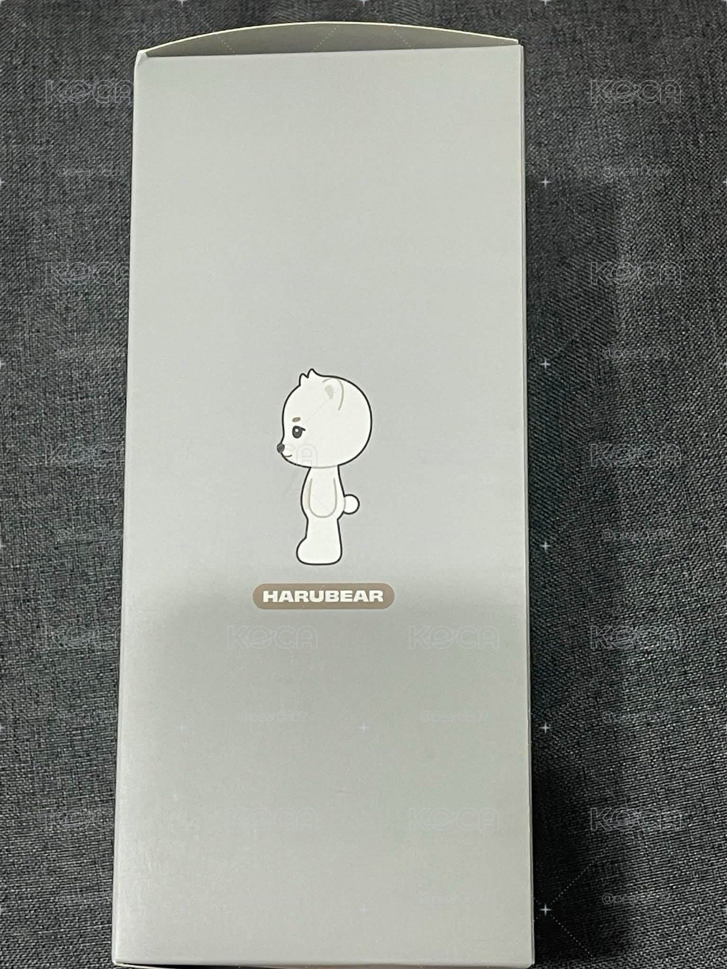 🐻‍❄️大娃盤