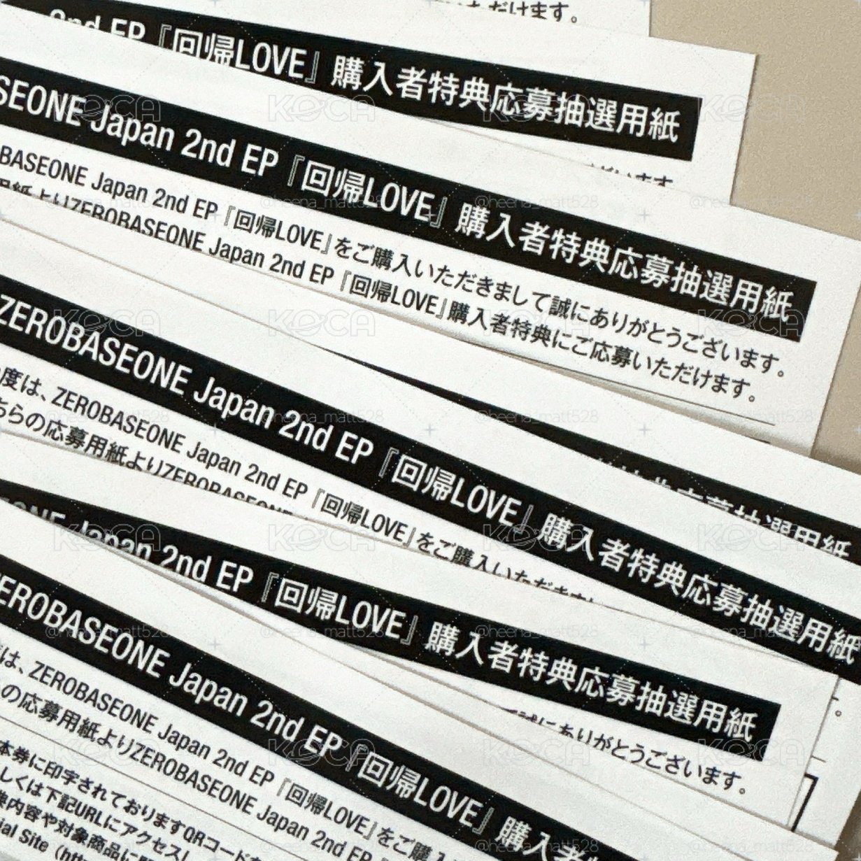 ZB1 回歸LOVE應募券