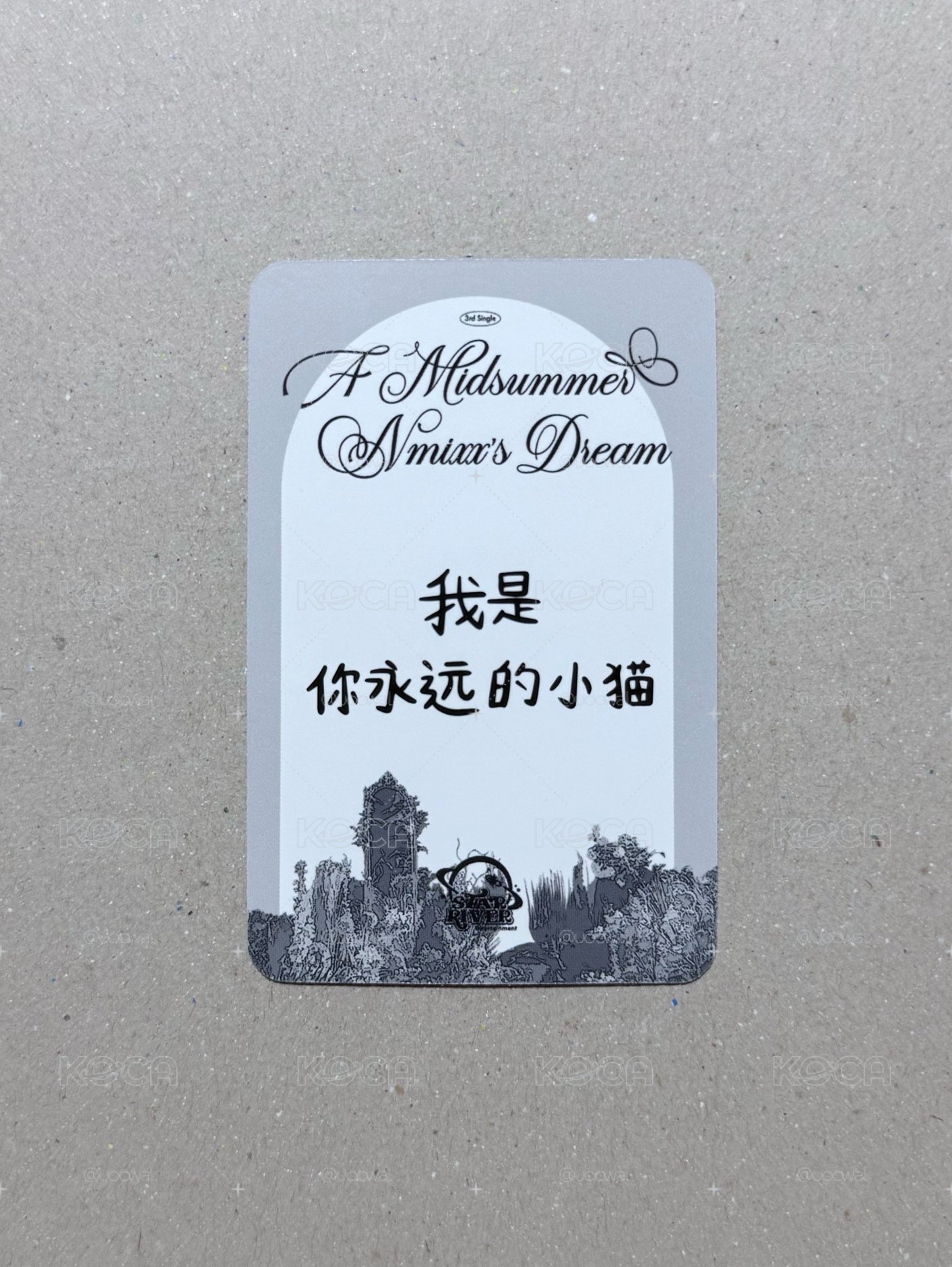NMIXX｜圭仲夏夜 中背「我是你永遠的小貓」