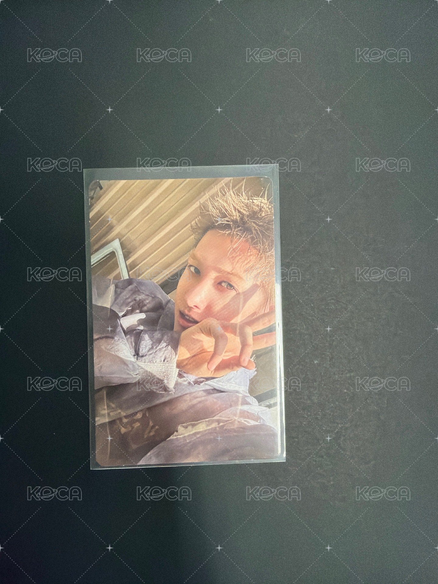 迷一第三版專輯卡