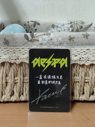 sr中背柚(一直在说珉天见 直到真的明天见)