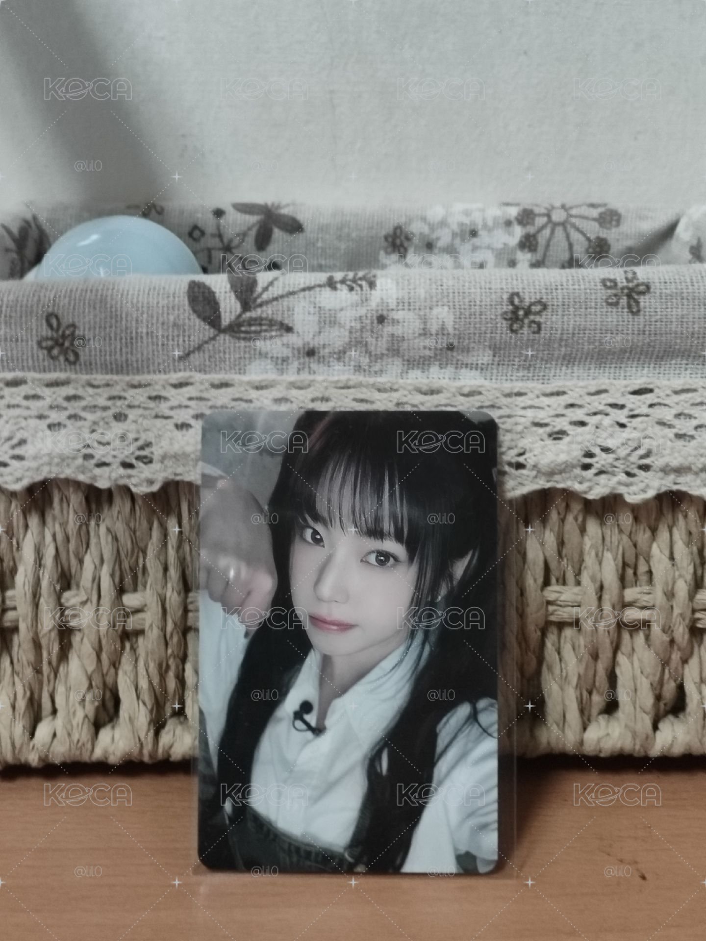 手渡圭(小猫掌柜为您服务)