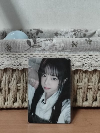 手渡圭(小猫掌柜为您服务)