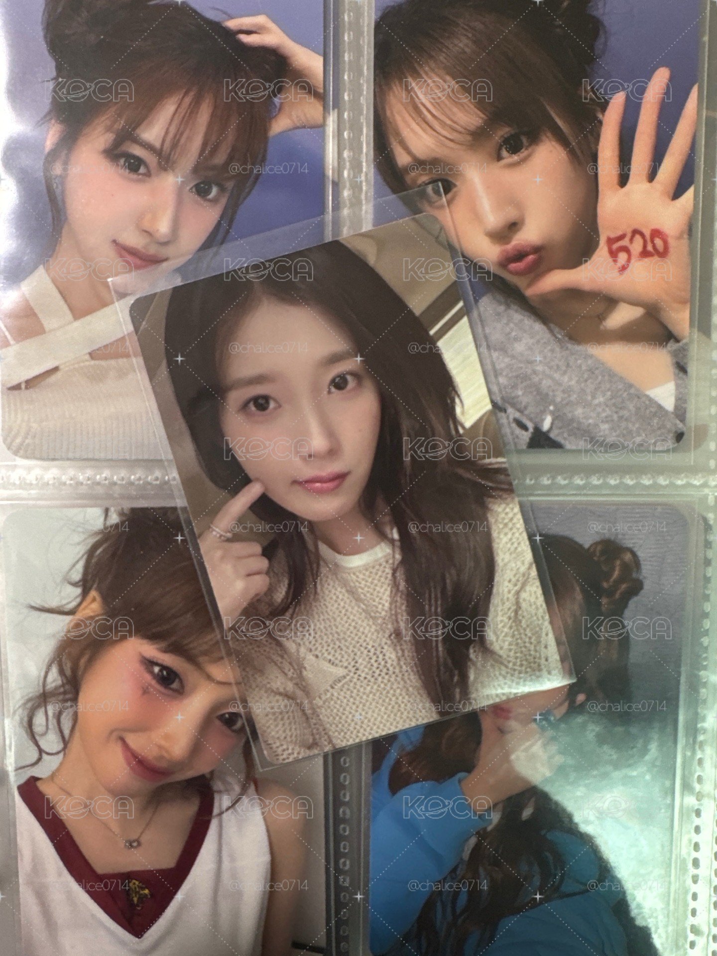 24’ 安可演唱會 演唱會 DVD / CD 卡 BD卡