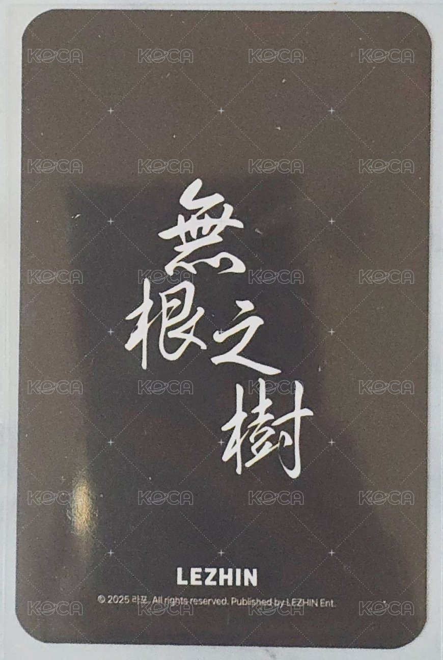 無根之樹快閃 滿額卡  背面
