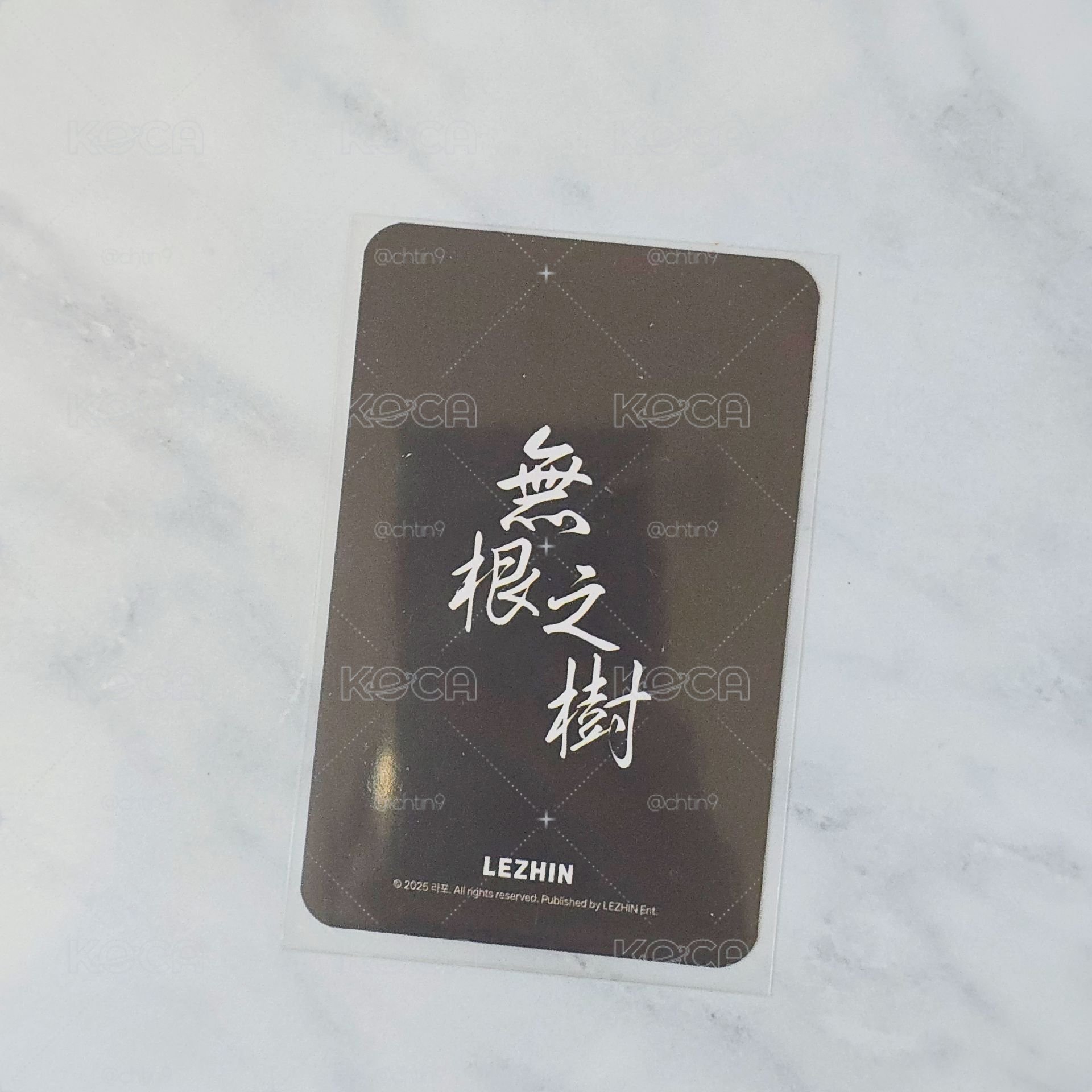 無根之樹 台北快閃滿額 熙書